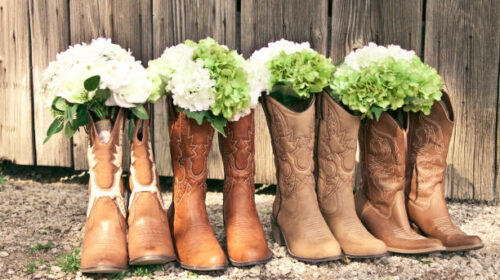 istockphoto-910297050-612×612