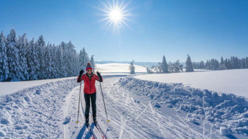 istockphoto-1298612253-612×612